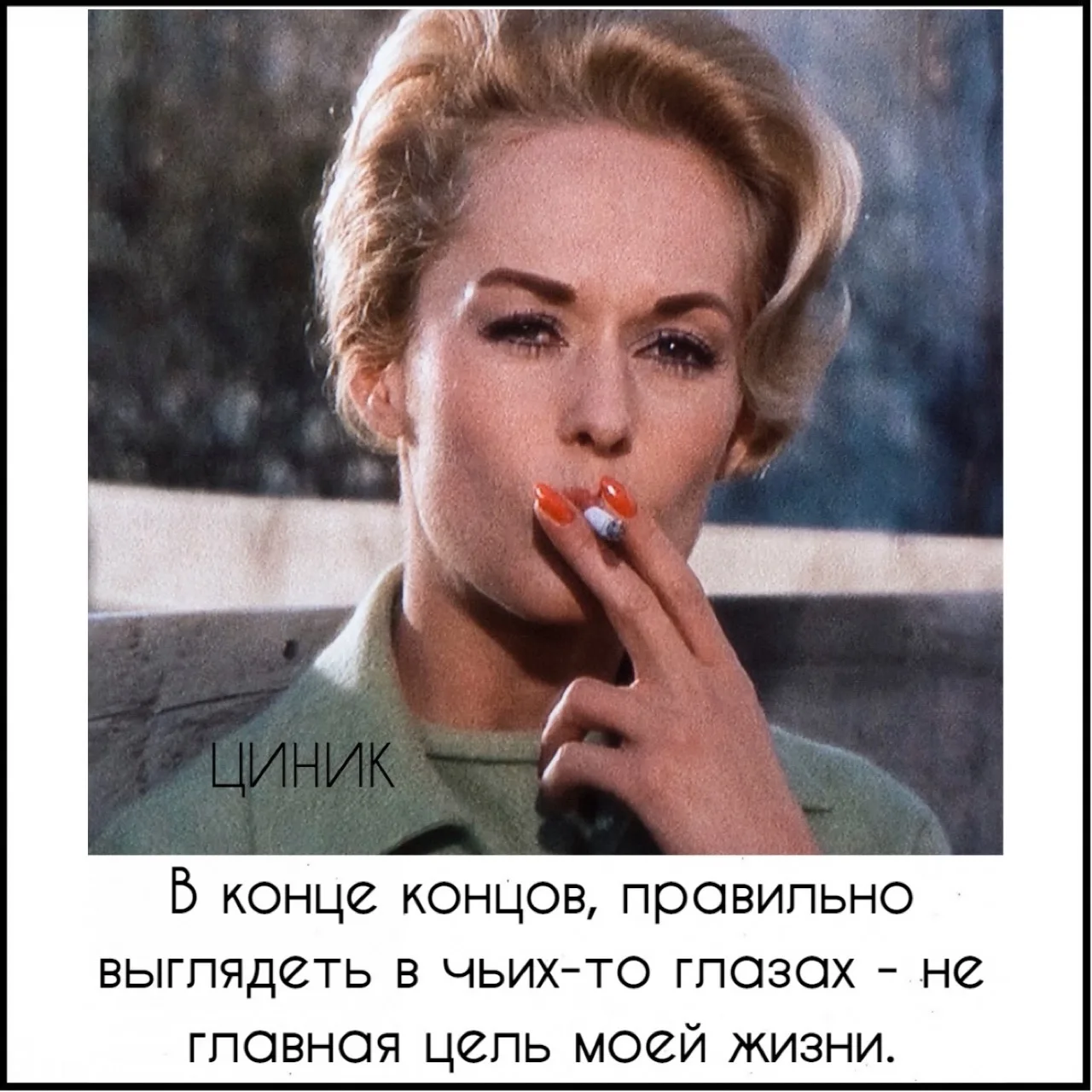 Циник