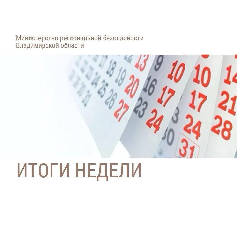 1️⃣ Спасатели аварийно-спасательной службы Владимирской области искали утонувших, оказы...