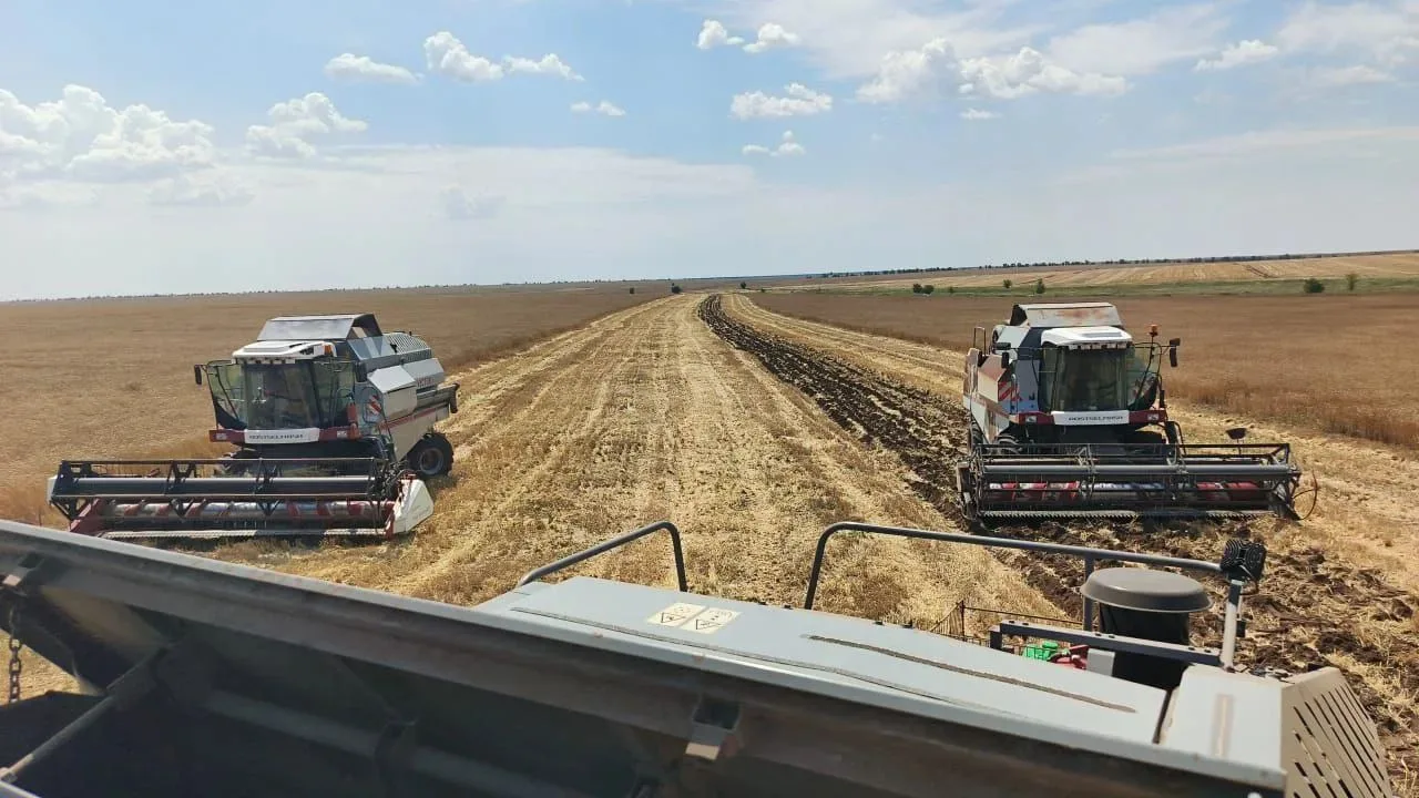 🌾 Дожди скорректировали планы аграриев