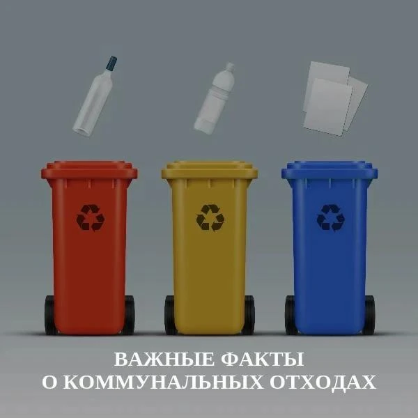 Напоминаем о простых и важных правилах обращения с отходами на контейнерных площадках.