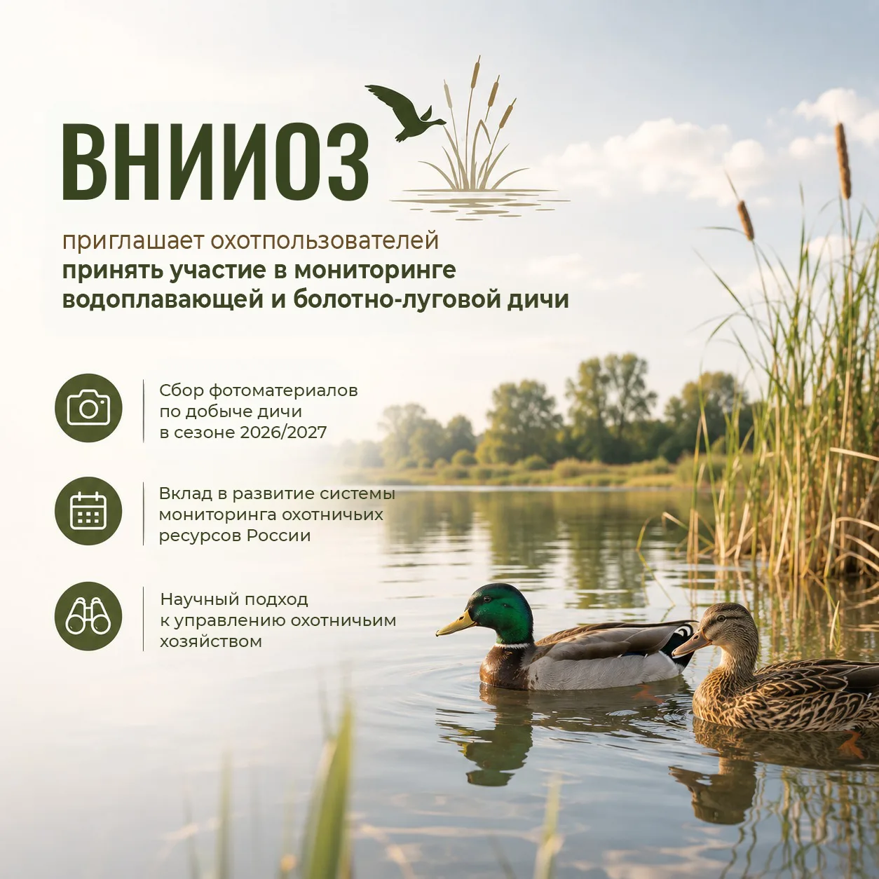 🦆ВНИИОЗ приглашает охотпользователей принять участие в мониторинге водоплавающей и бол...