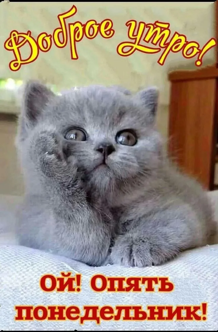 😍

🥰 Оставляйте реакции, если понравилась открытка и делитесь с близкими ❤️

🎁 Поздравления и отк