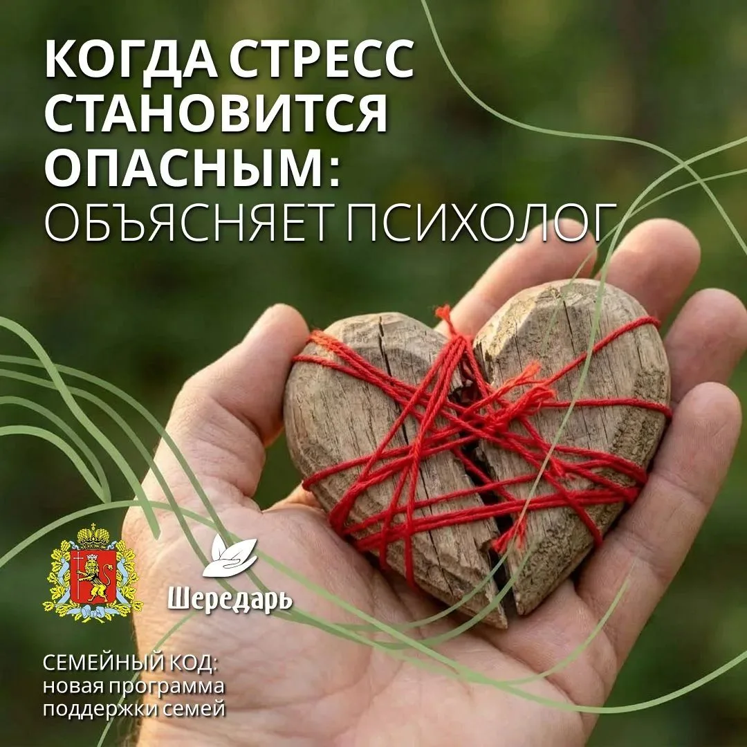 📛 Когда стресс становится опасным: «красные флаги»