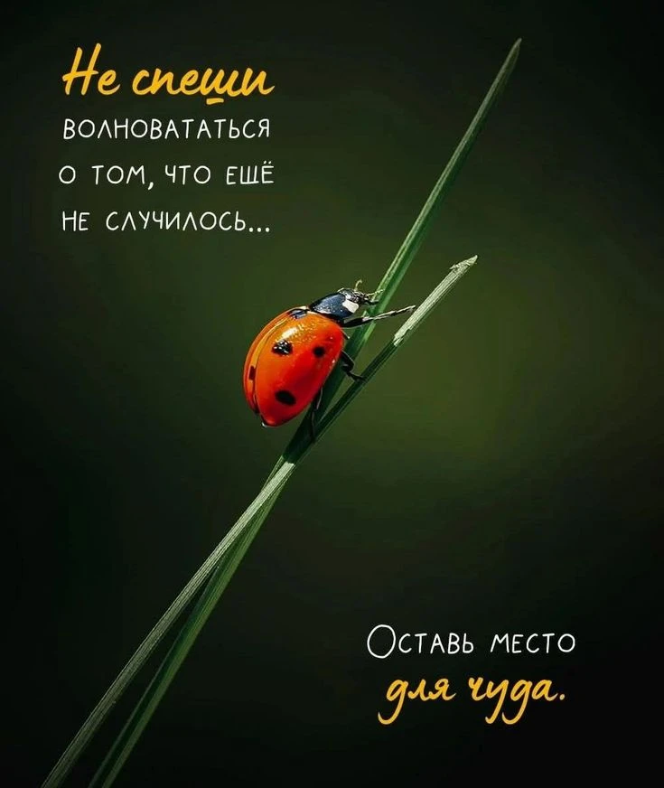 💞ЭСТЕТИЧНЫЕ ОТКРЫТКИ💞