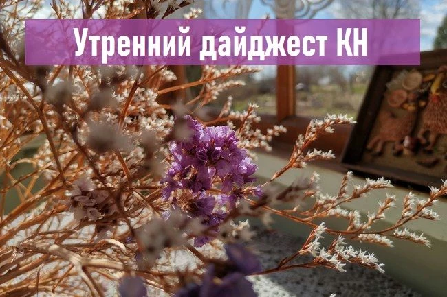 События, факты, мнения: что изменилось с 1 октября, медведь в Калуге, новый вид мошенни...
