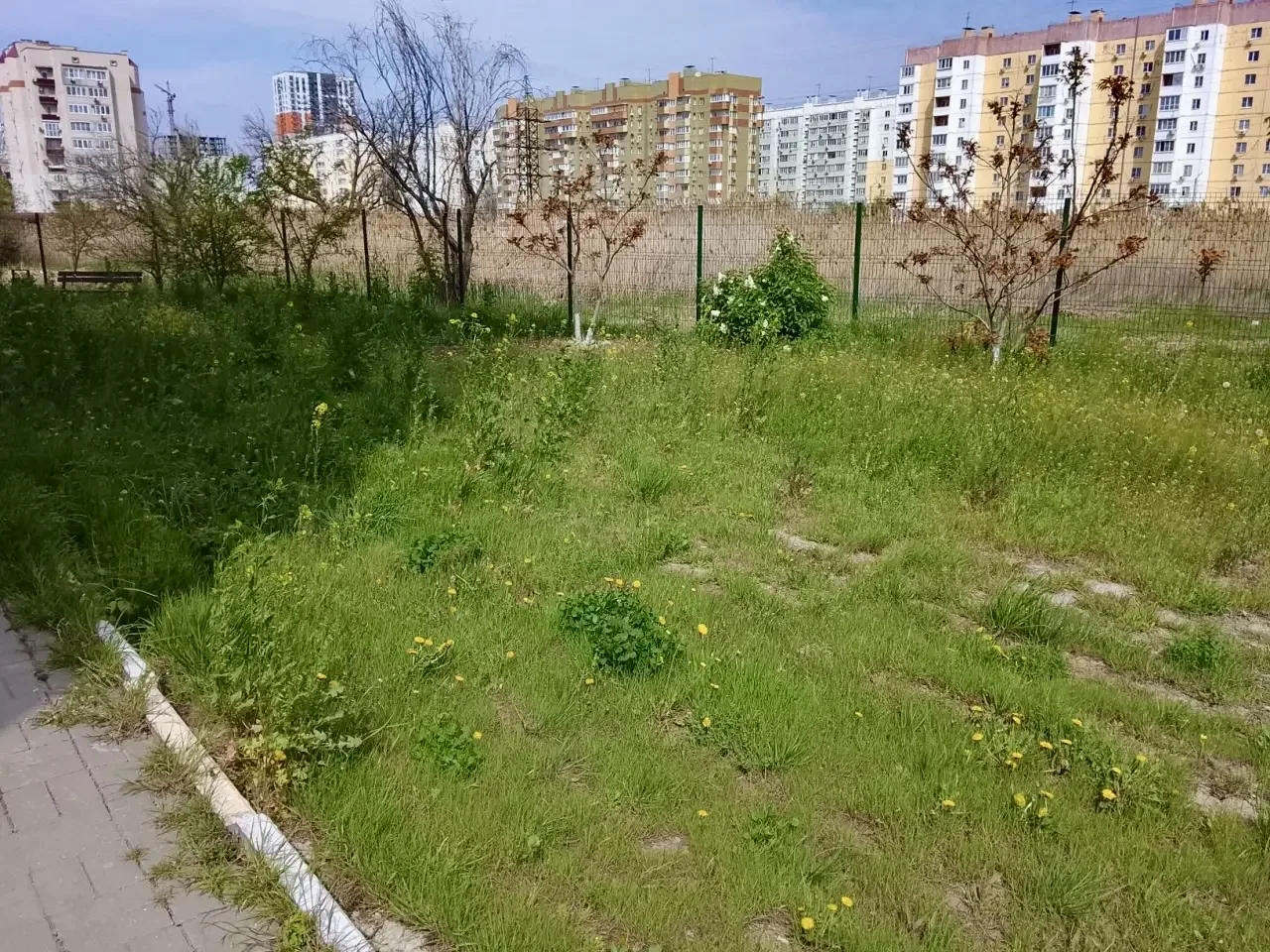 К новости «🌾 Летний сезон: трава под контролем!»