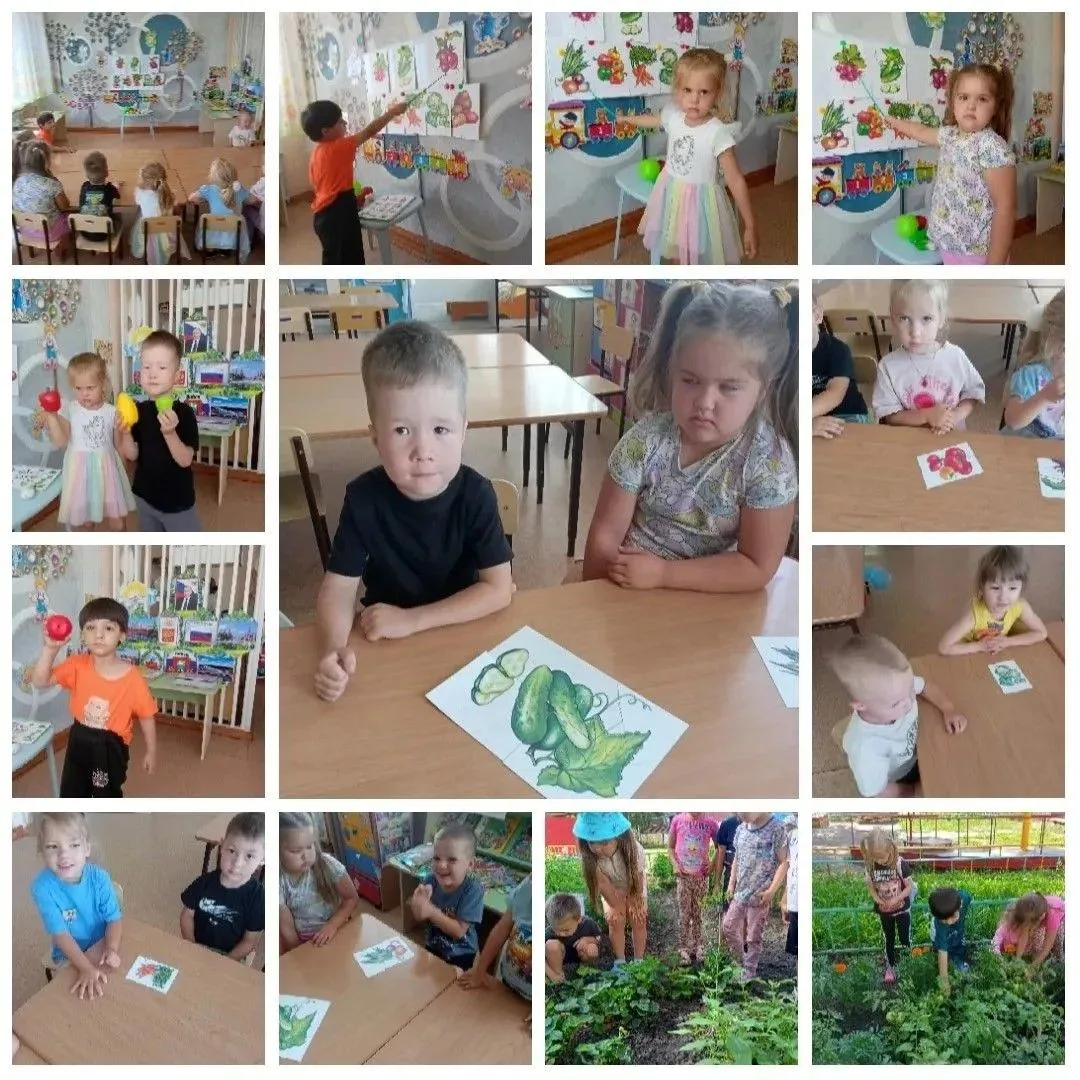 🥕🥒 «День овощей в средней группе»