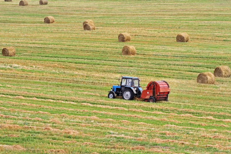 🌾 Корма в зиму!

 🚜 Сельхозтоваропроизводители района ведут заготовку сена.

 👍 Травы скошены на 