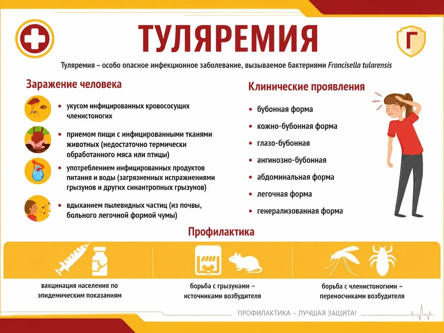 🕷️ Уважаемые подписчики!
С приходом тёплой погоды всё больше людей проводят время на природе: выезж