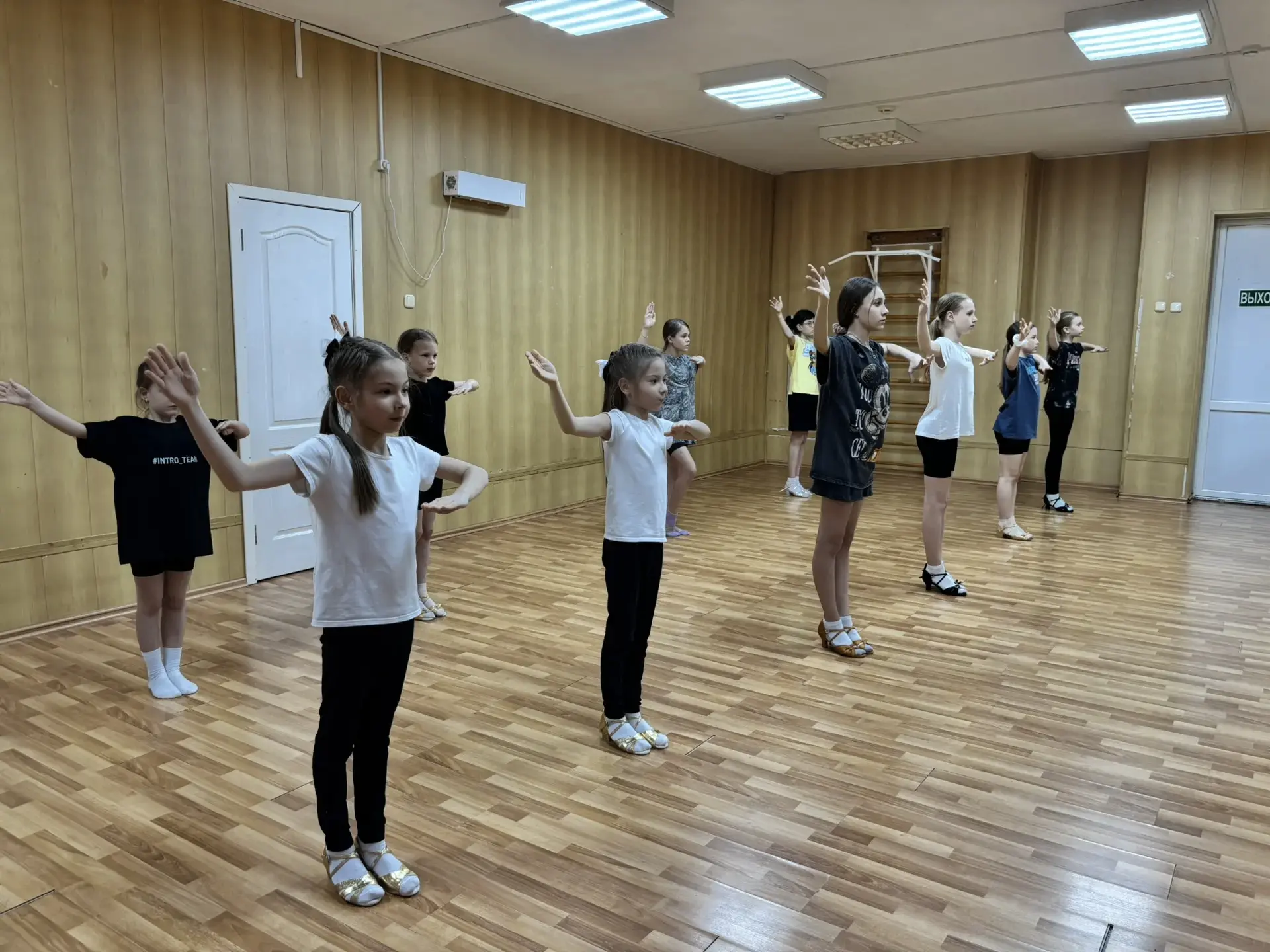 Борьба, ударка, танцы или штанга? Поможем выбрать