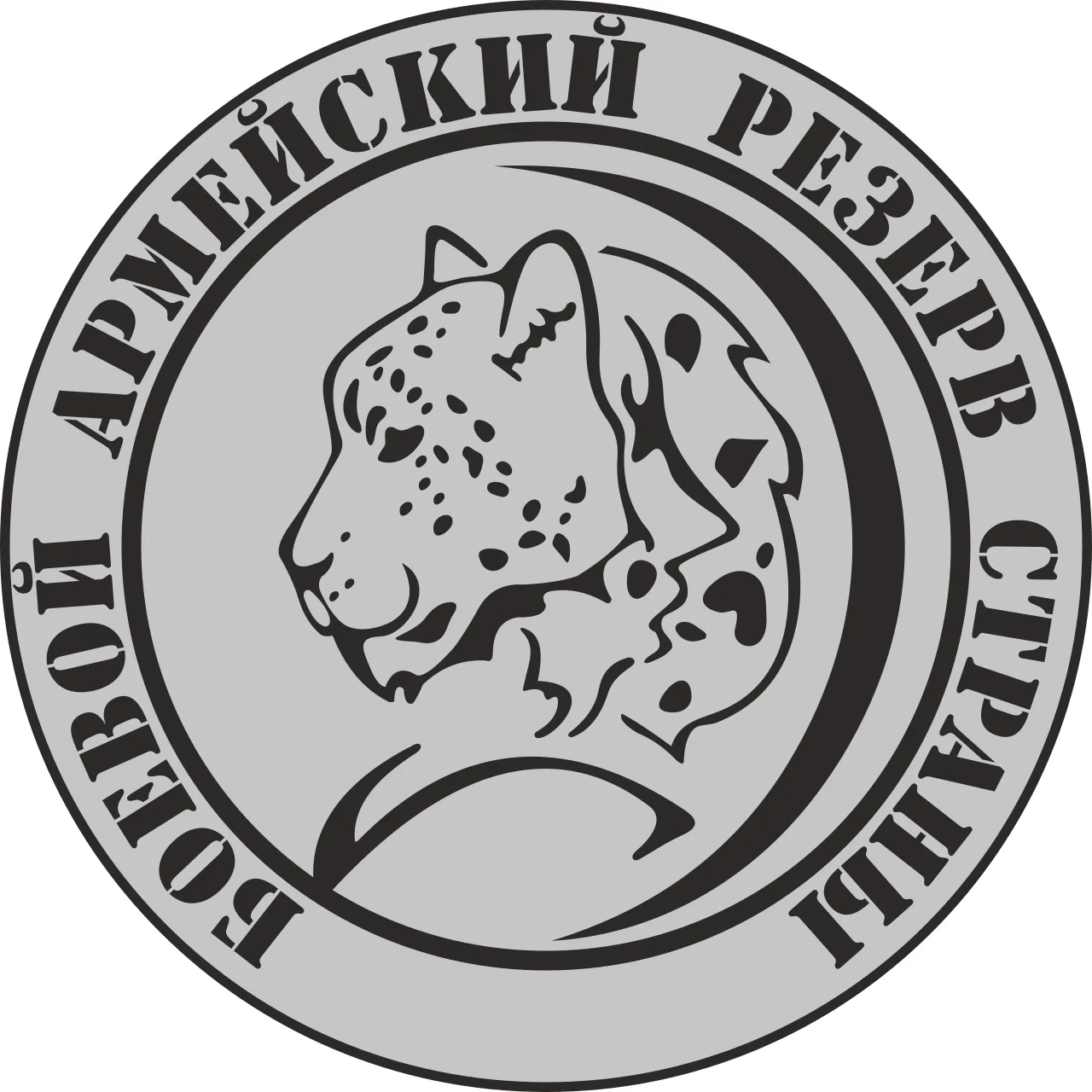 Минобороны Российской Федерации объявляет набор в добровольческий отряд «БАРС — ДНР»  Его миссия — о