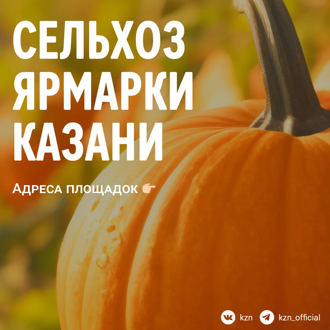 👨‍🌾 Как же их не хватало...