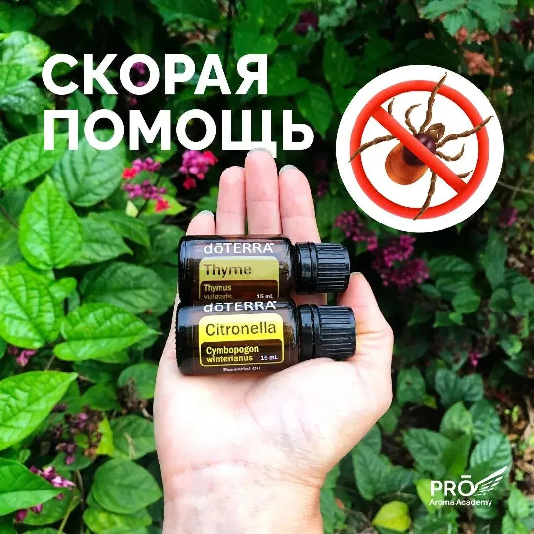 Что делать, если обнаружили клеща?