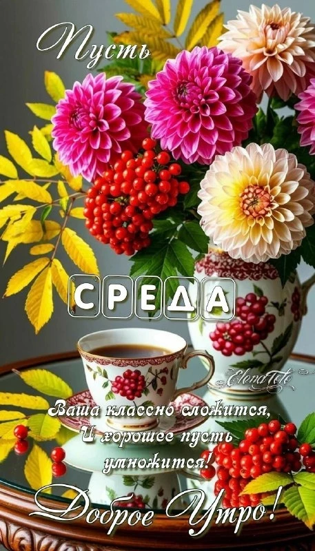 Открытки: подписаться ❤️