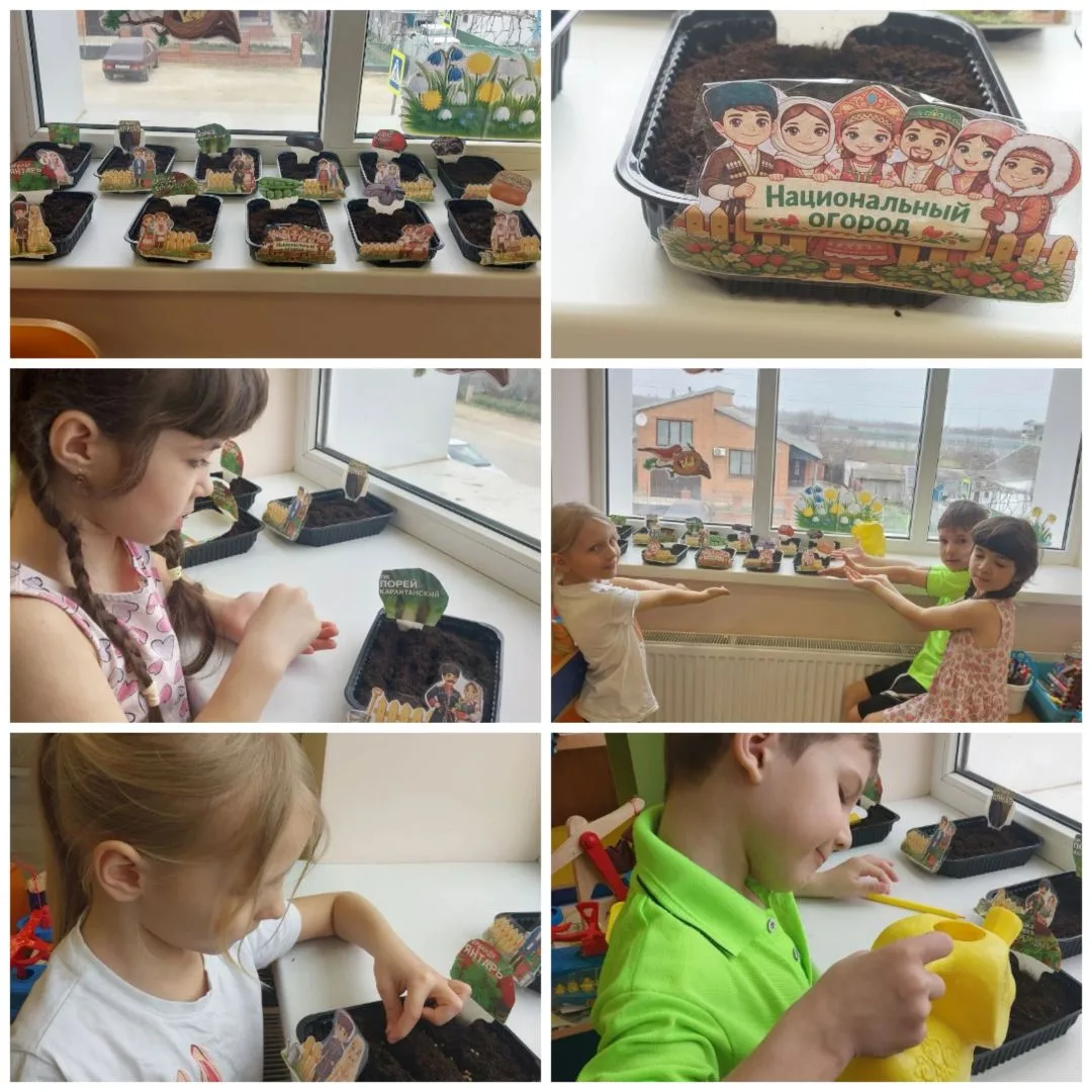 Ребята группы Фантазеры 👬👫посадили огород на подоконнике🌶️🥬🥒 . Не просто огород! ☝️☝️Они посади