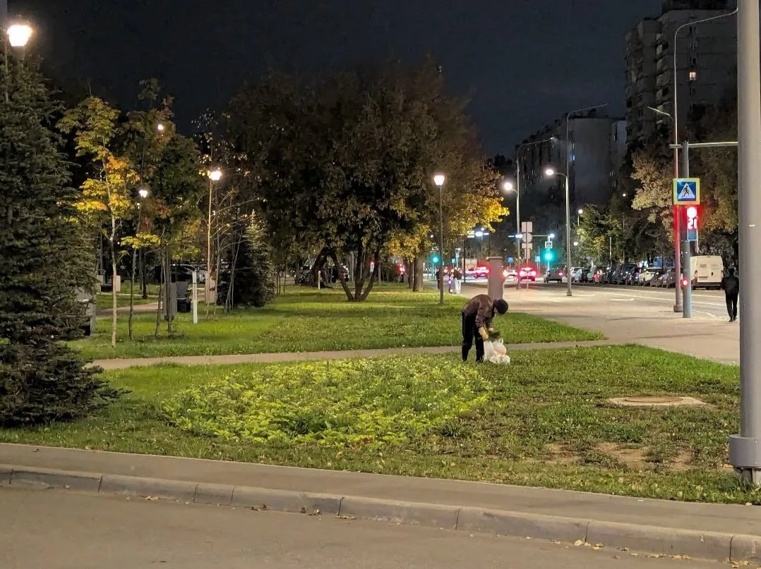 🌷 В Бибирево женщина выкопала цветы с общественной клумбы