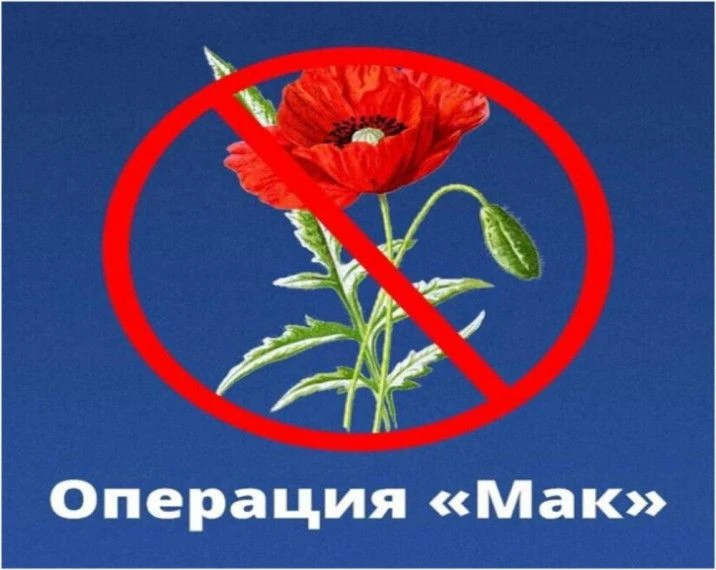 С 18 по 27 мая 2026 года на территории Тарумовского района сотрудниками ОМВД России по ...