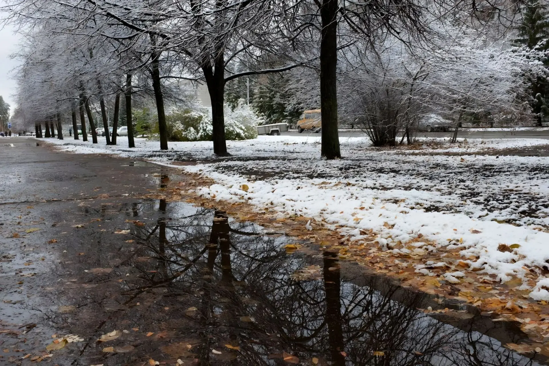☔❄️Со 2 по 5 октября Свердловскую область накроет циклон с дождями и снегом