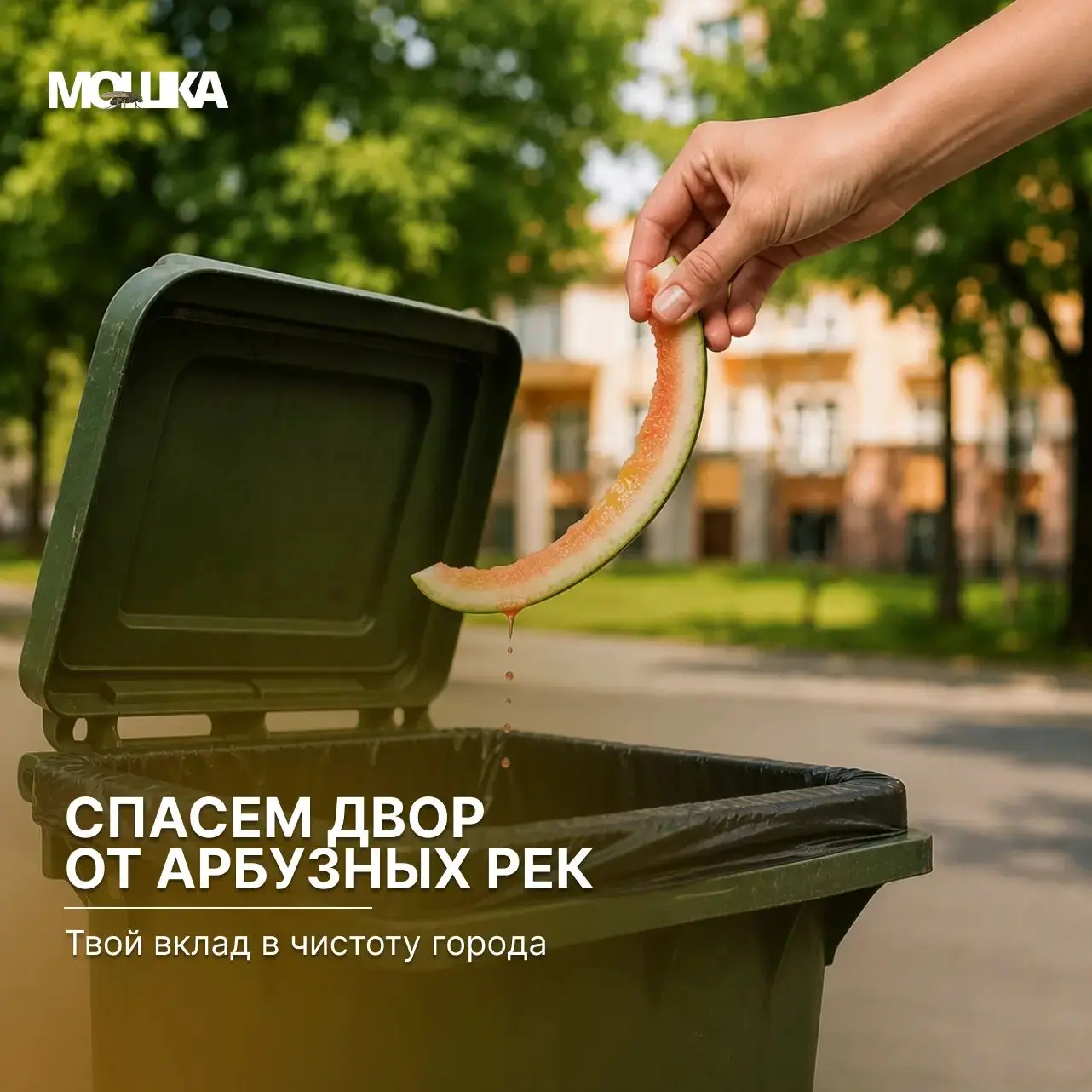 Спасём двор от арбузных рек: твой вклад в чистоту города