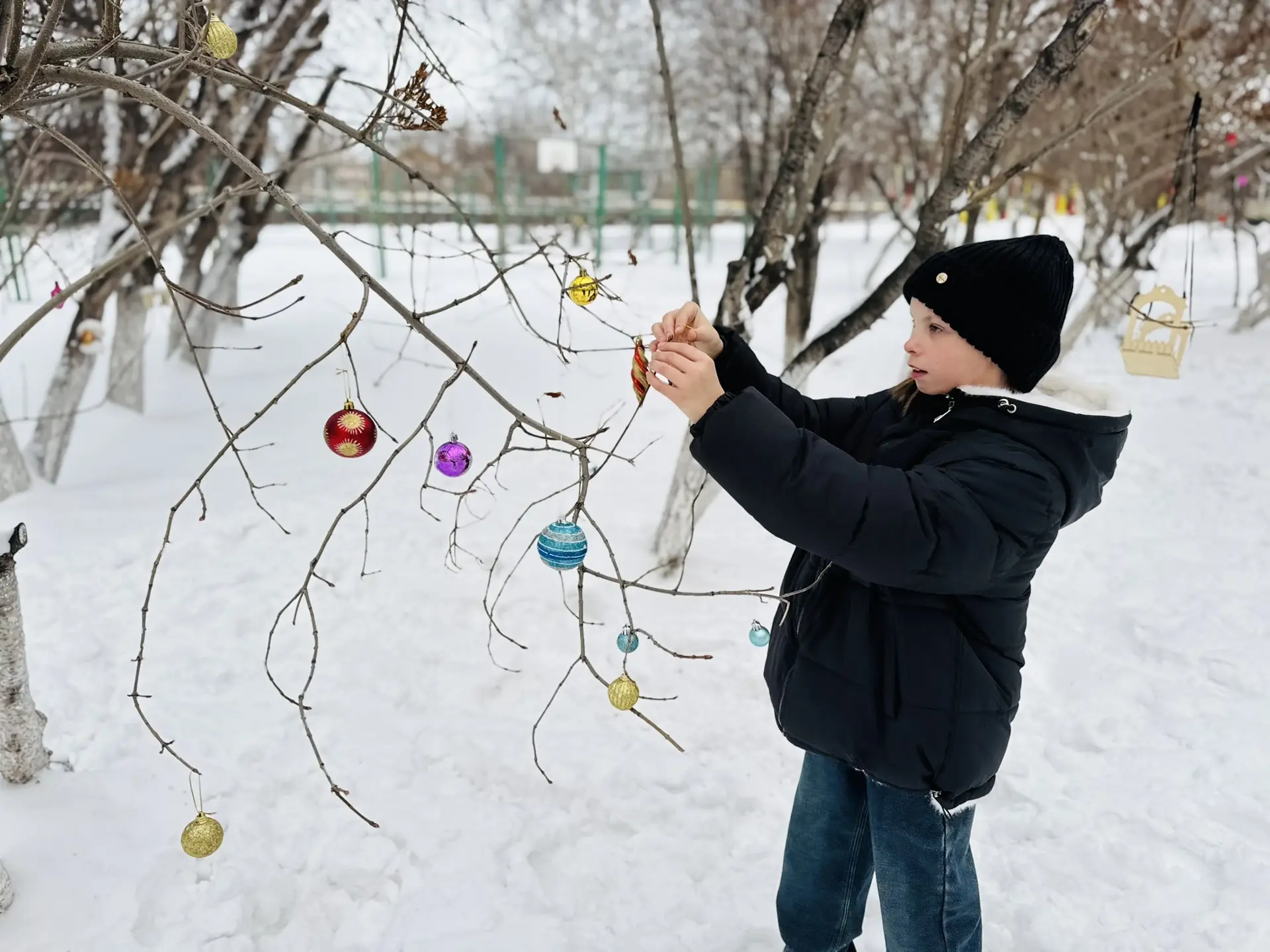 Мы создаем сказку вместе! 🎄✨  Друзья! Продолжается украшение территории любимой гимназии к самому во