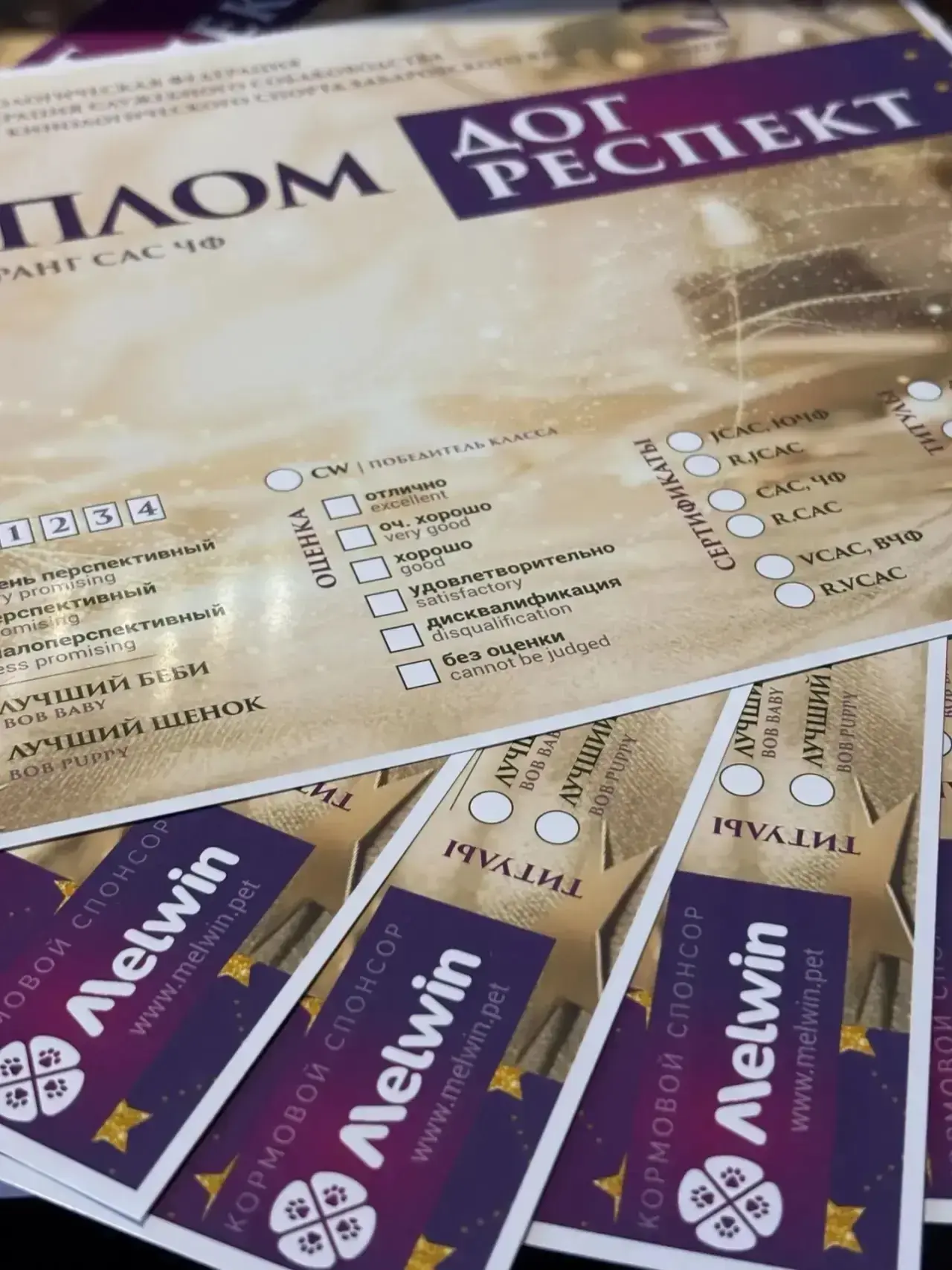 Специально для нас организаторы выставки «ДОГ РЕСПЕКТ» отпечатали новый тираж дипломов! ✨