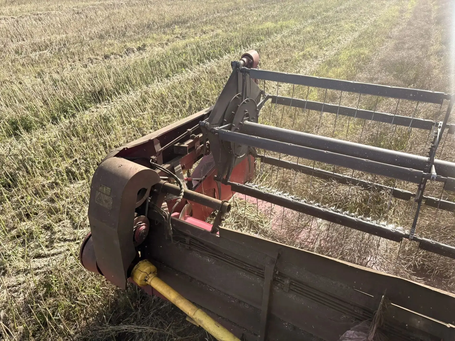 🌾 Уборка урожая в Вяземском округе выходит на завершающий этап