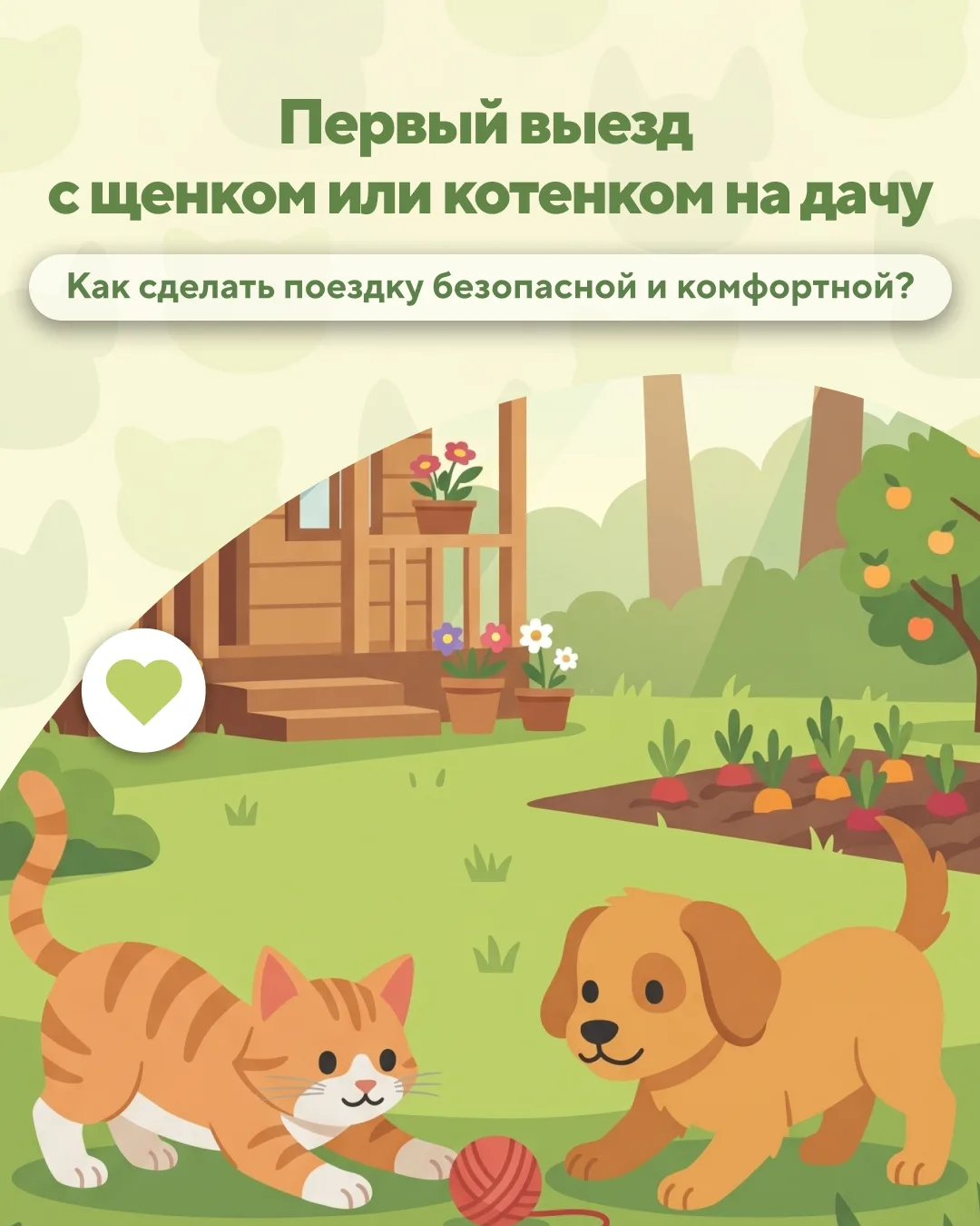 Первая поездка на дачу с щенком или котенком всегда наполнена волнением!