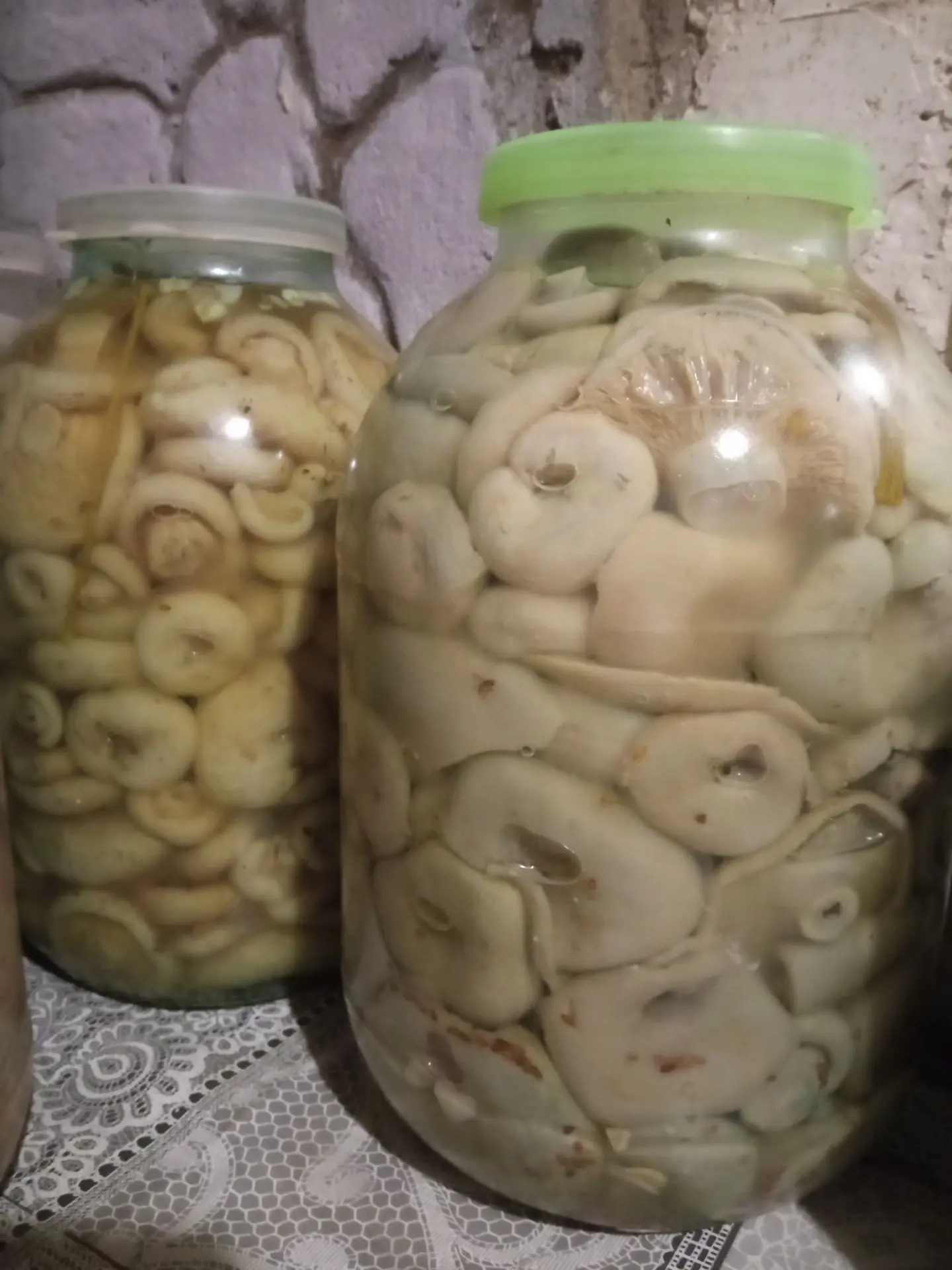 Продам грузди холодного посола ( грузди ивовые) . Собранные в в лесах Нижегородской обл...