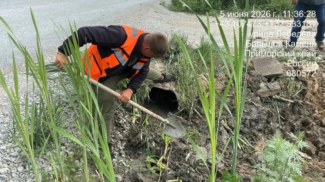 ☀️🍃Летние заботы

🧹На территории городского округа подрядной организацией ООО «Специализированная 
