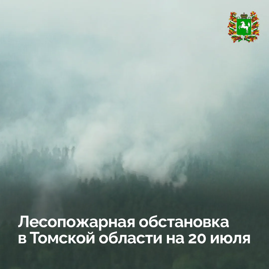 За прошедшую неделю в регионе ликвидировали 27 лесных пожаров