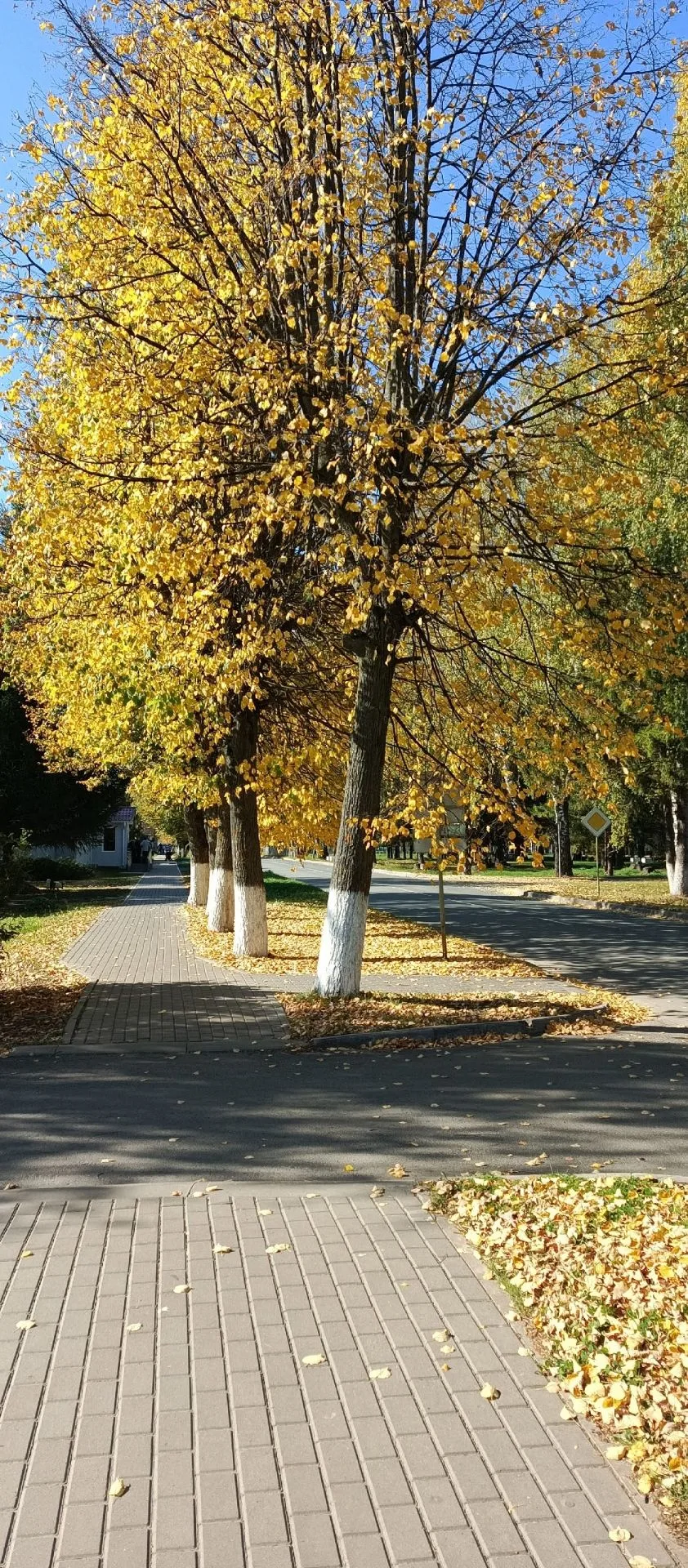 ❤Доброго субботнего утра, друзья❤