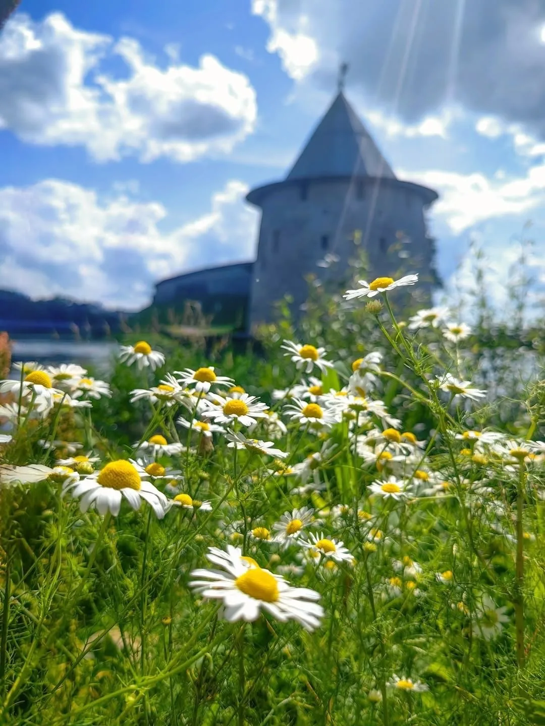 Лето! Псков 😍