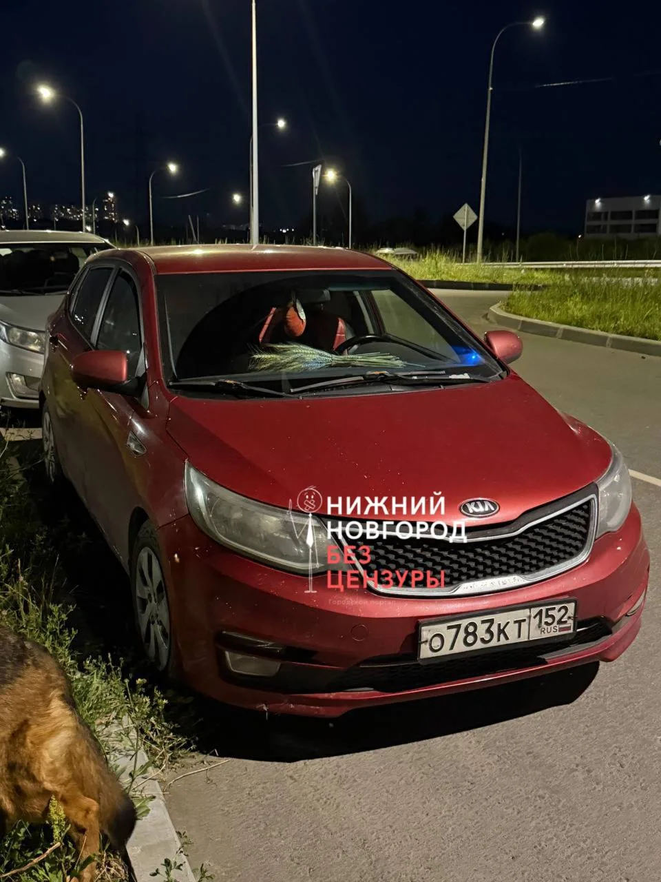 🚗🐕 Целый месяц жительница «Новой Кузнечихи» держит крупную собаку в клетке… прямо в б...