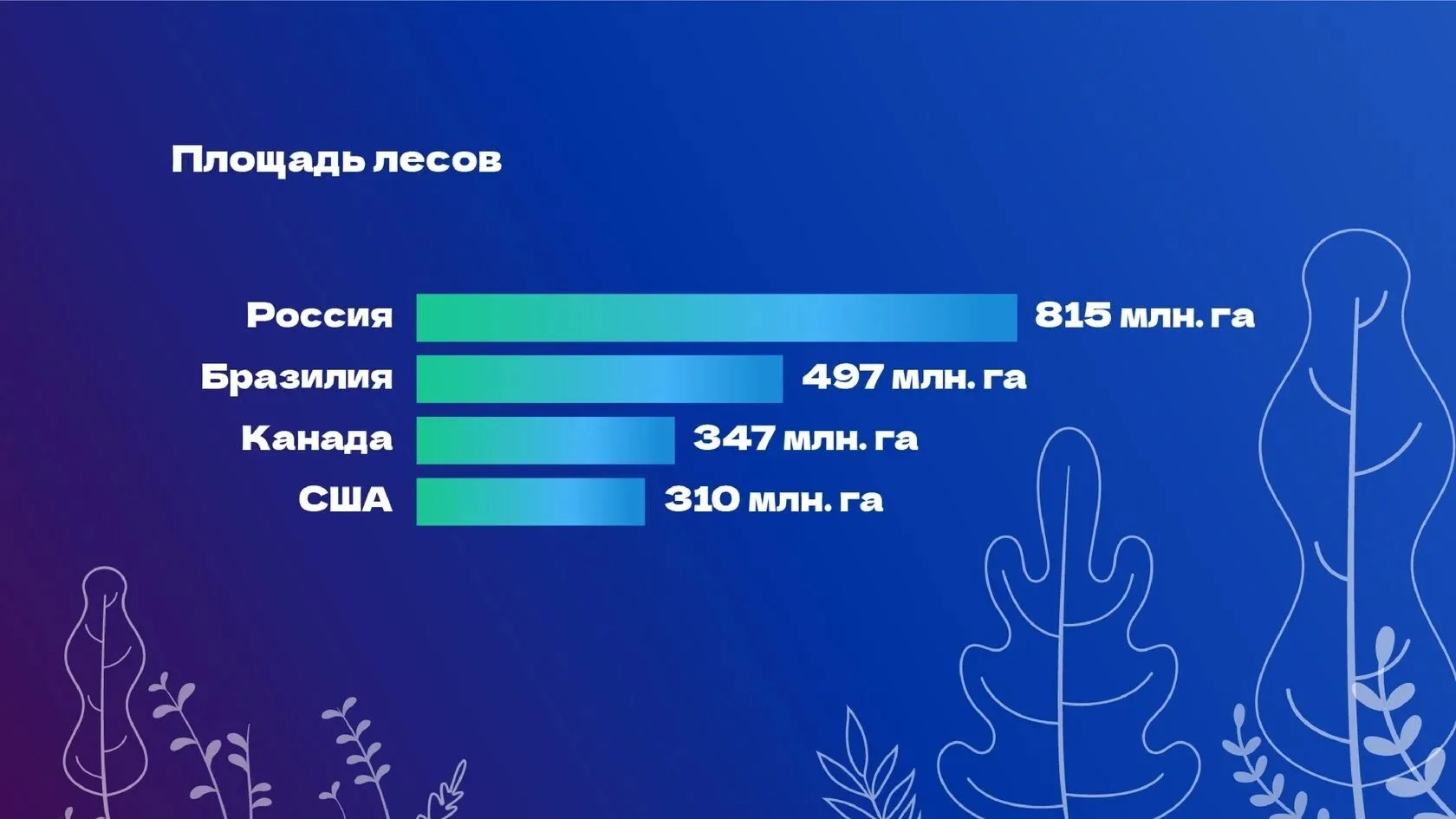 Россия – самая большая страна в мире. И на её территории расположено самое большое количество лесов 