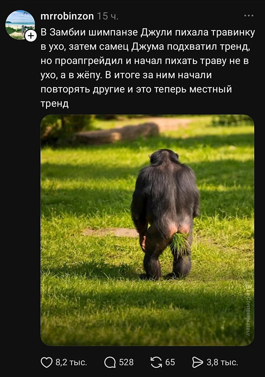 Модно, куда деваться...