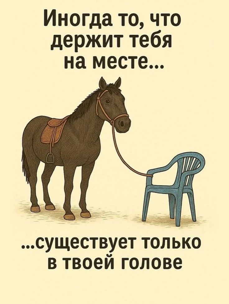 Ловушка, которой на самом деле нет 🪤