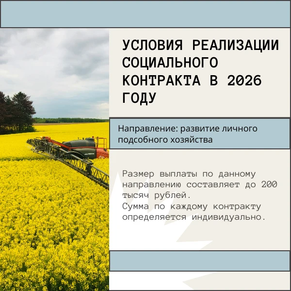 Одно из востребованных направлений соцконтракта для сельских жителей – развитие личного...