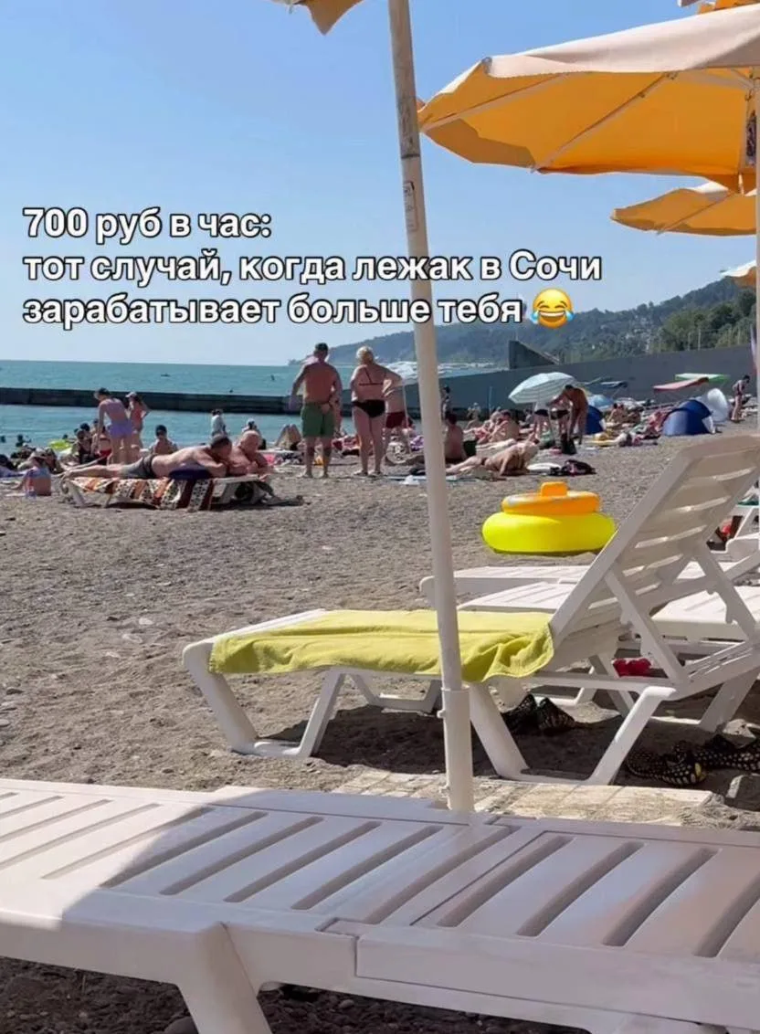 😨 На секундочку, по нашим подсчётам, лежак в Сочи зарабатывает до 170 тысяч рублей в м...