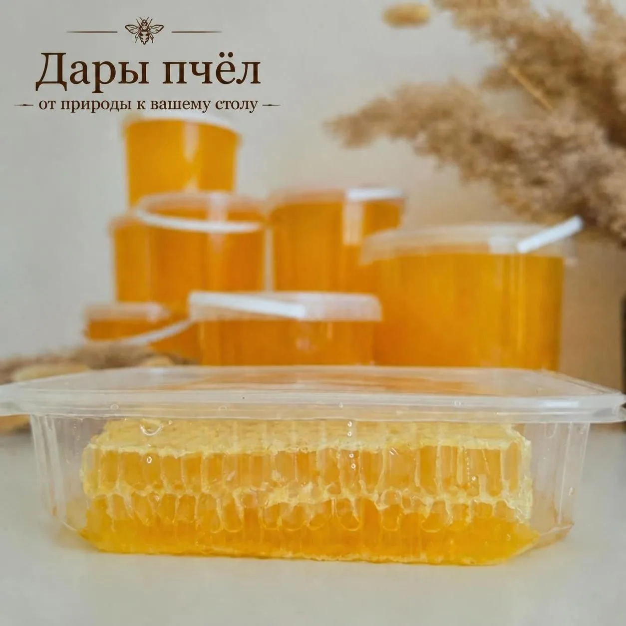 Сотовый мёд уже можно заказать 🐝