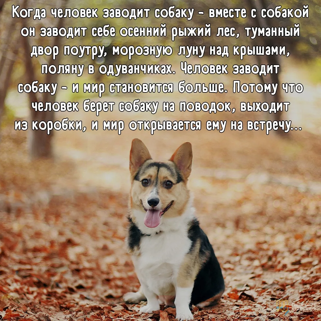 👏🏻