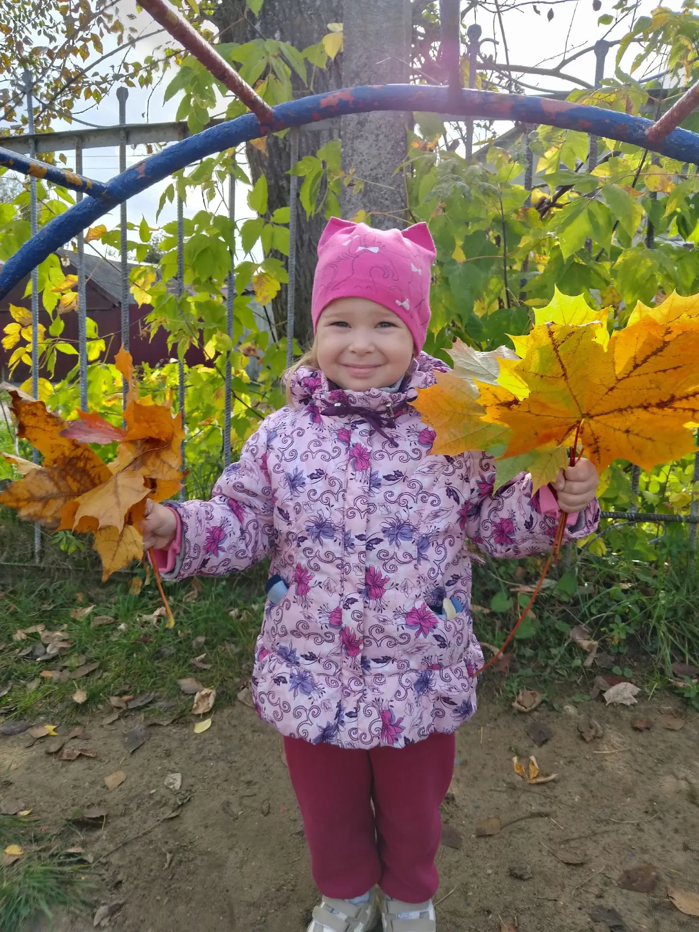 🍁 Осень — время чудес!