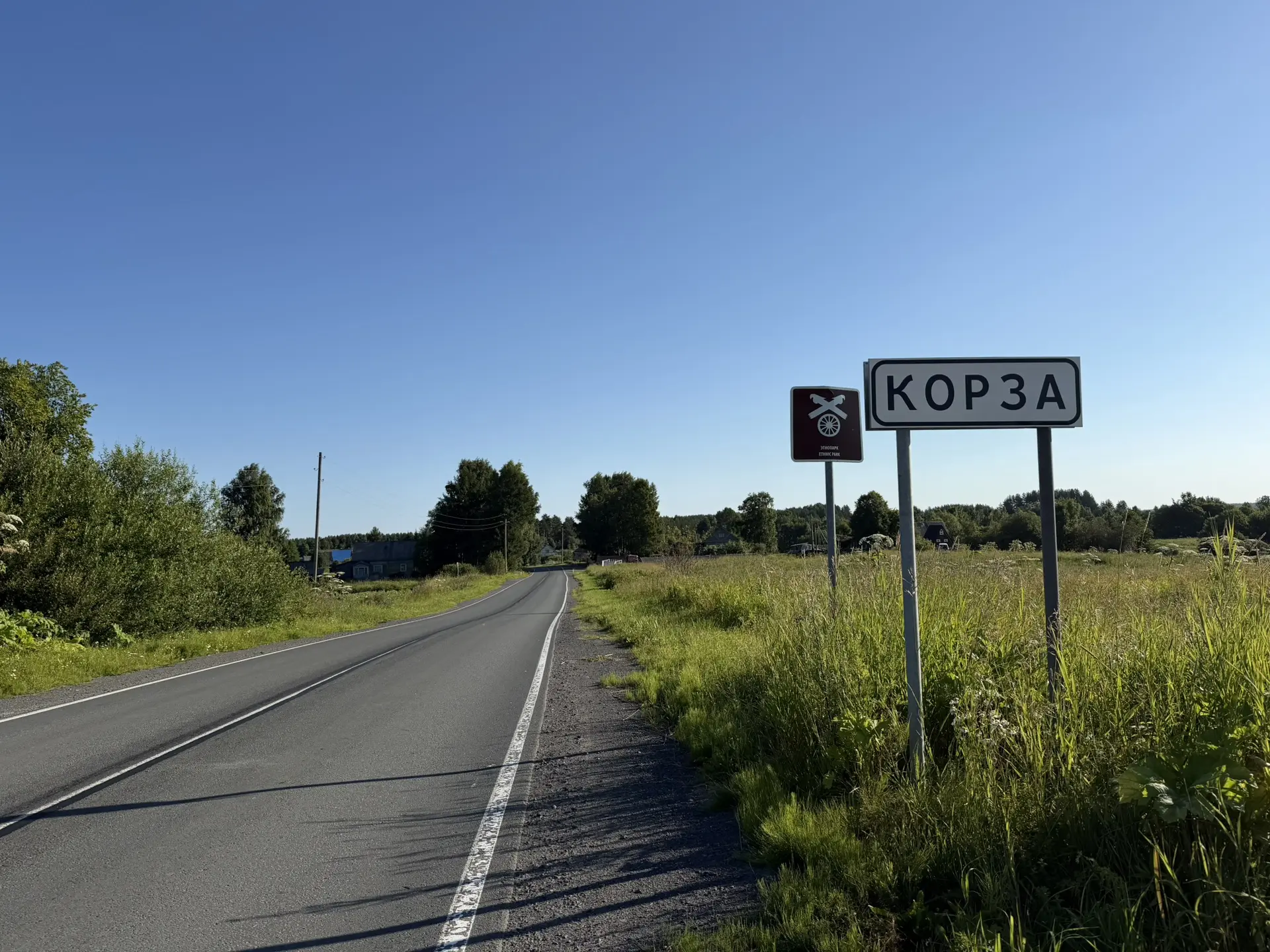В Пряжинском районе всё чаще встречается борщевик Сосновского. Его давно знают на Корзи...