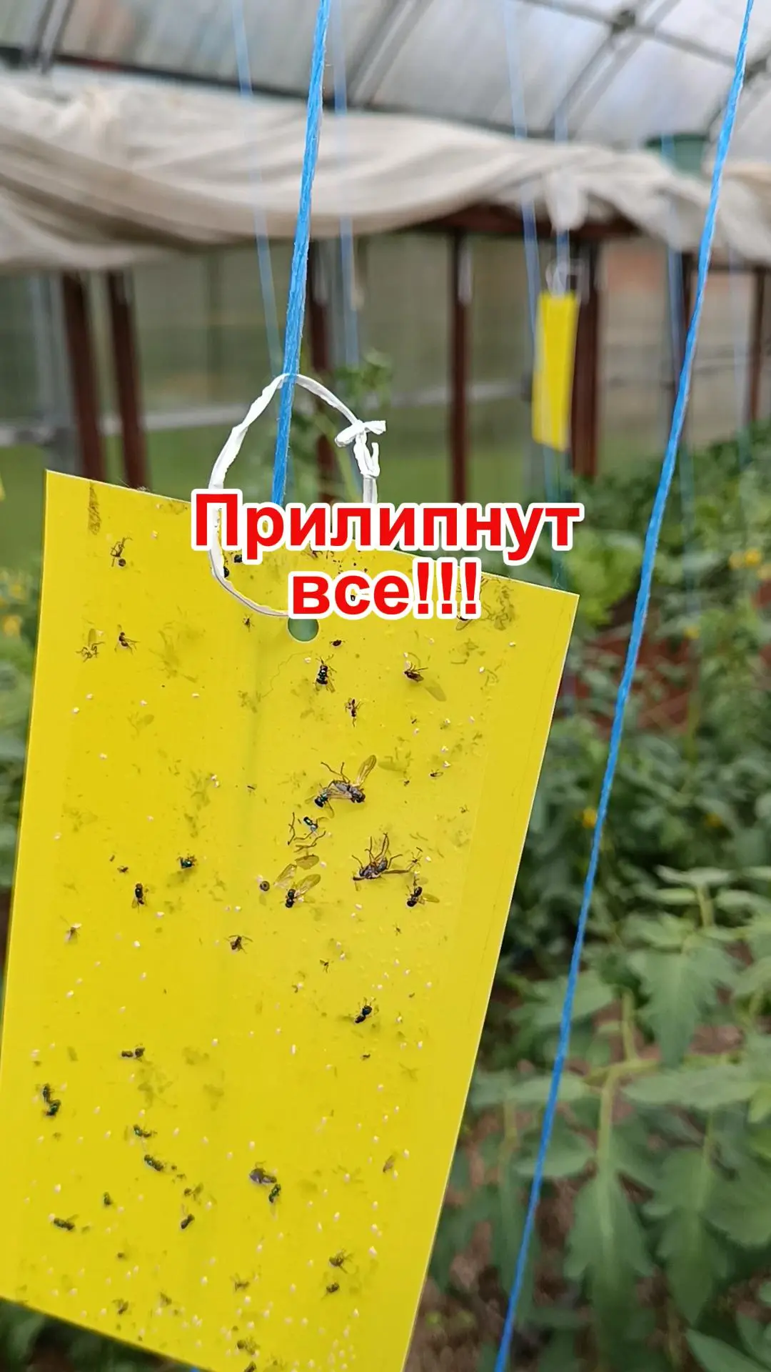 https://vkvideo.ru/clip-101079042_456240801?sh=4 Перейти на Ozon: https://vk.cc/cYdbAb