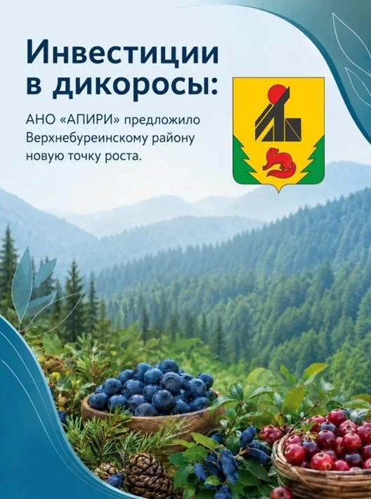 💫 20 августа 2026 года состоялась рабочая встреча с участием инвестиционного уполномоч...