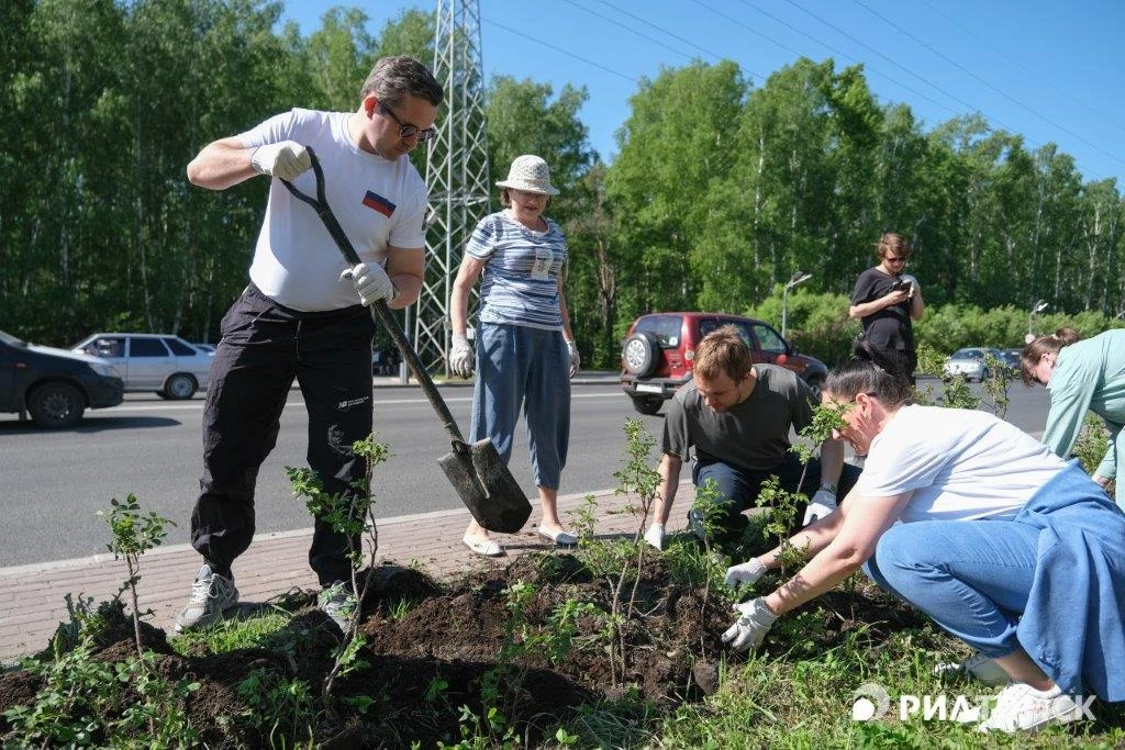 Продолжаем озеленение улицы Нахимова в Томске, где проходят две линии электропередачи 3...