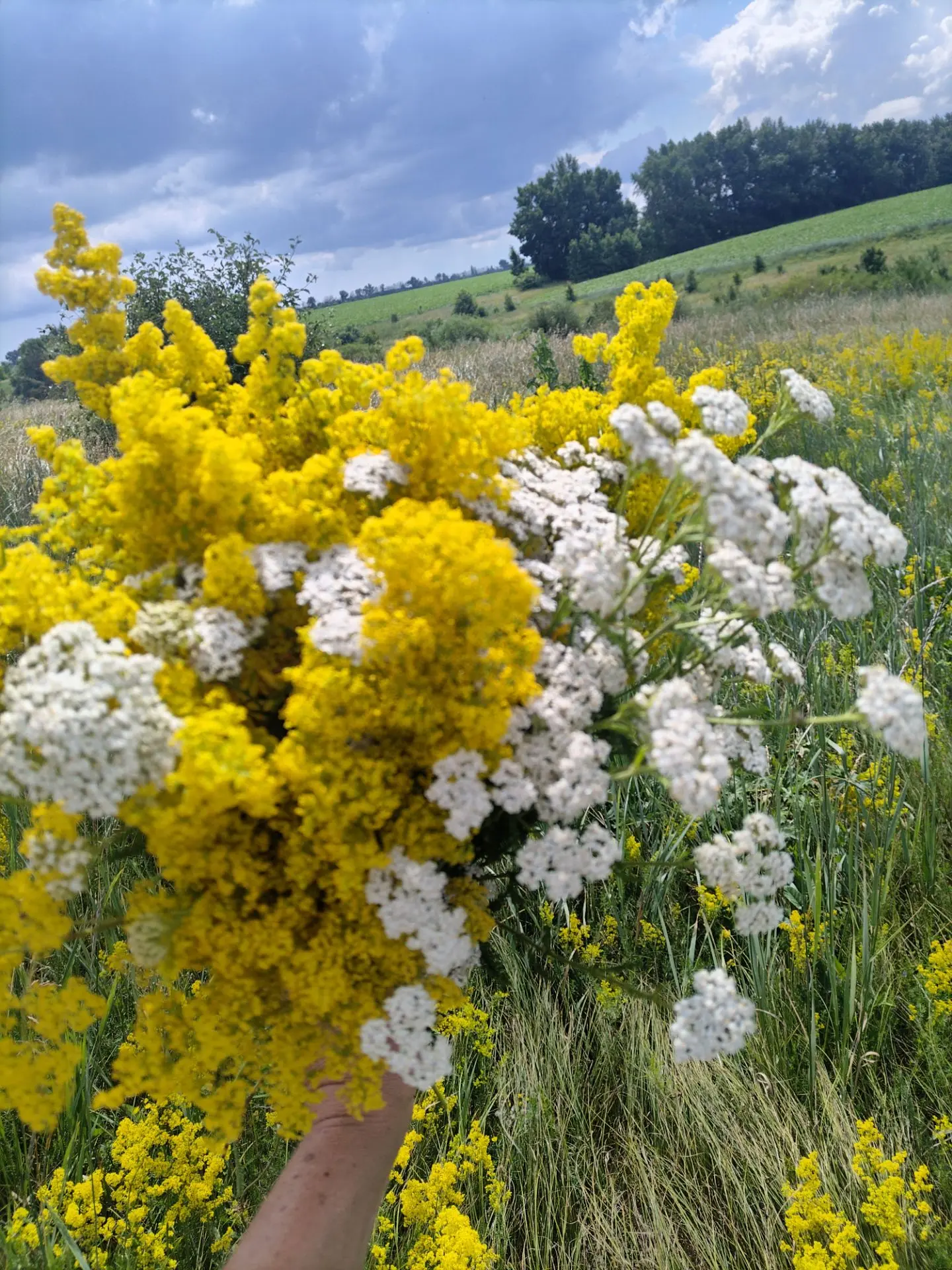 Доброе утро 🌄
