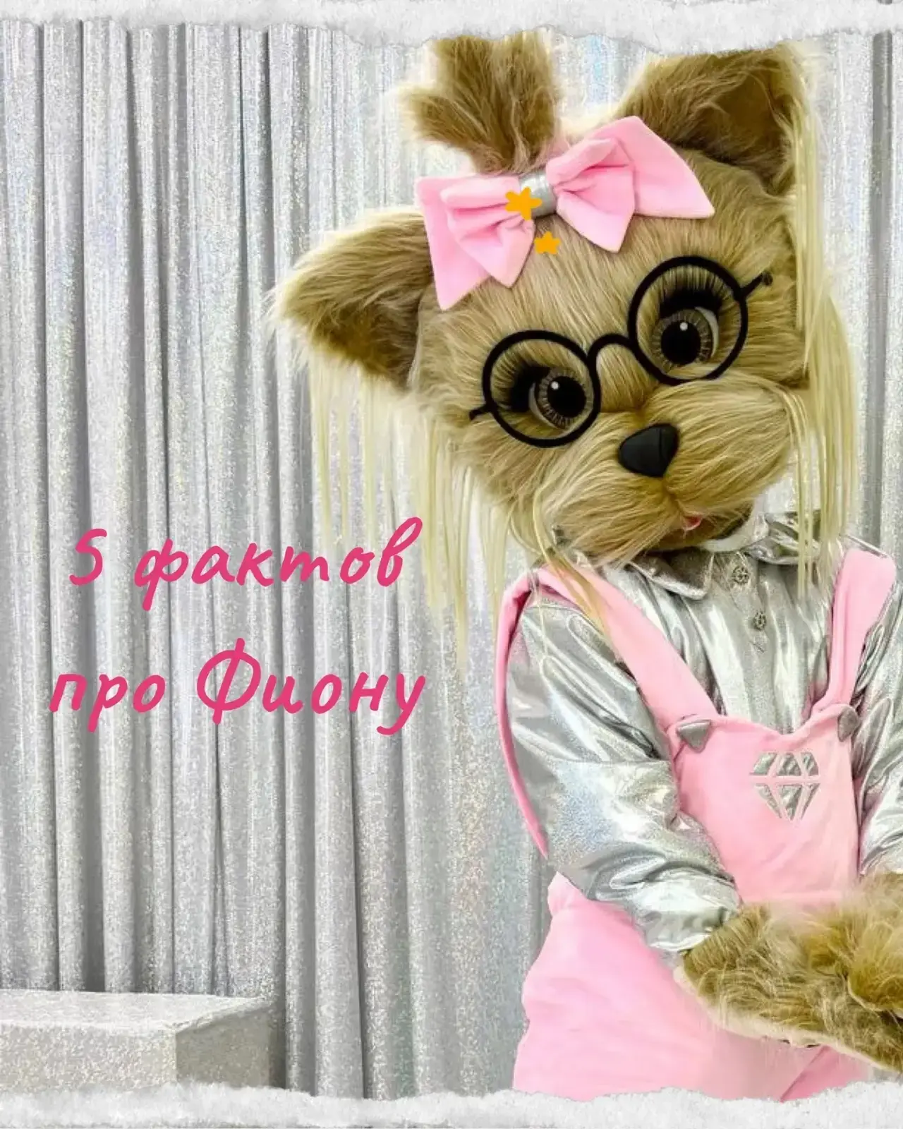 ФИОНА: 5 фактов о звезде, которую пытаются копировать! 🌟🐶

Фиона — история успеха и доказательство