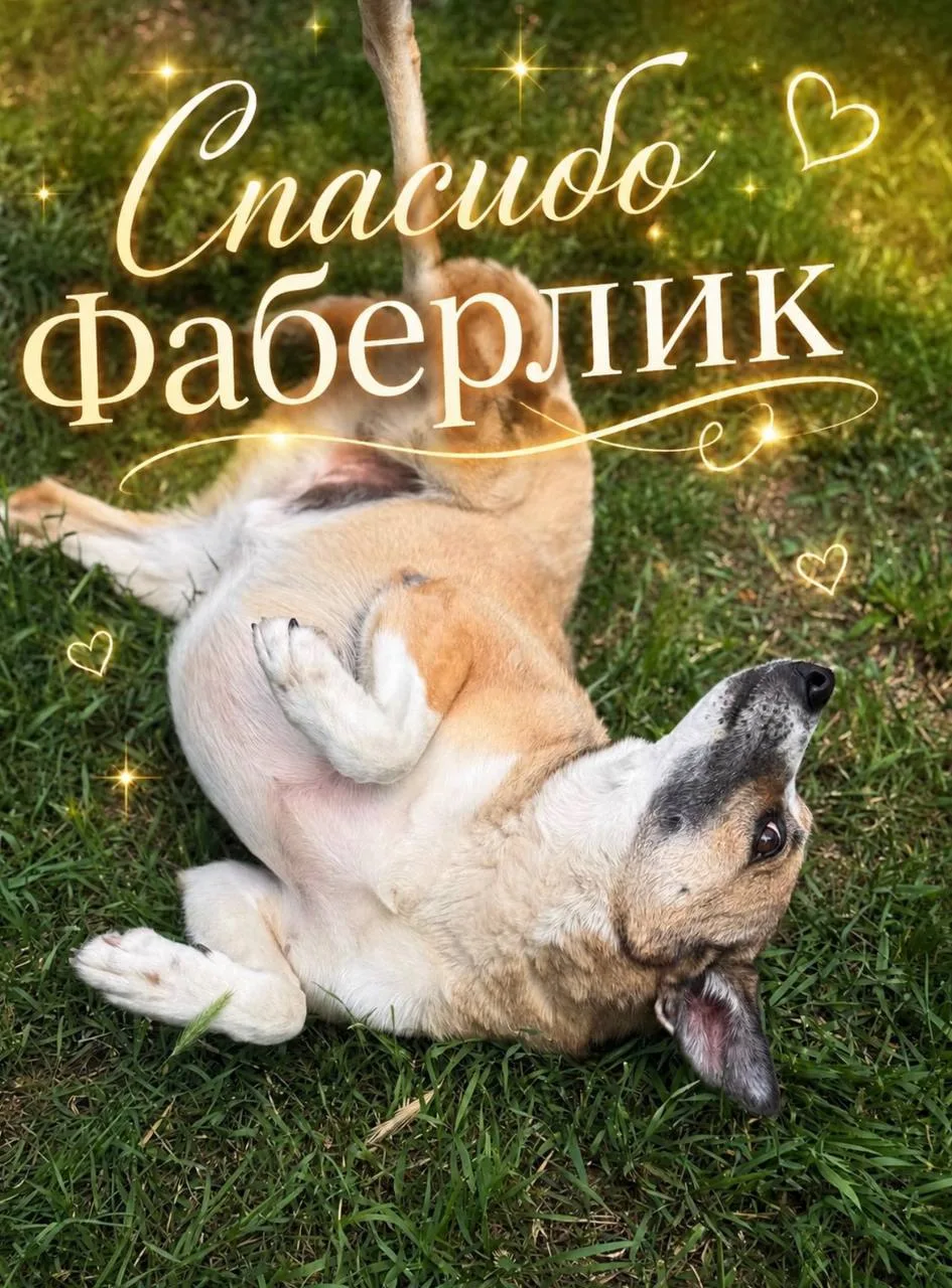 Если бы у принца был крем для лапок, то это был бы Фаберлик 🙈❤️ 

Знаете почему? Потому что благода