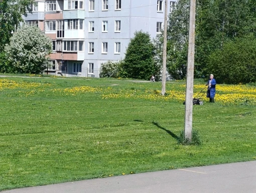 🌱🌱🌱БОЛЬШЕ 2 ГЕКТАРОВ ПРИШКОЛЬНОЙ ТЕРРИТОРИИ ПРИВЕДЕНЫ В ПОРЯДОК  💚 Работники школы приступили к поко