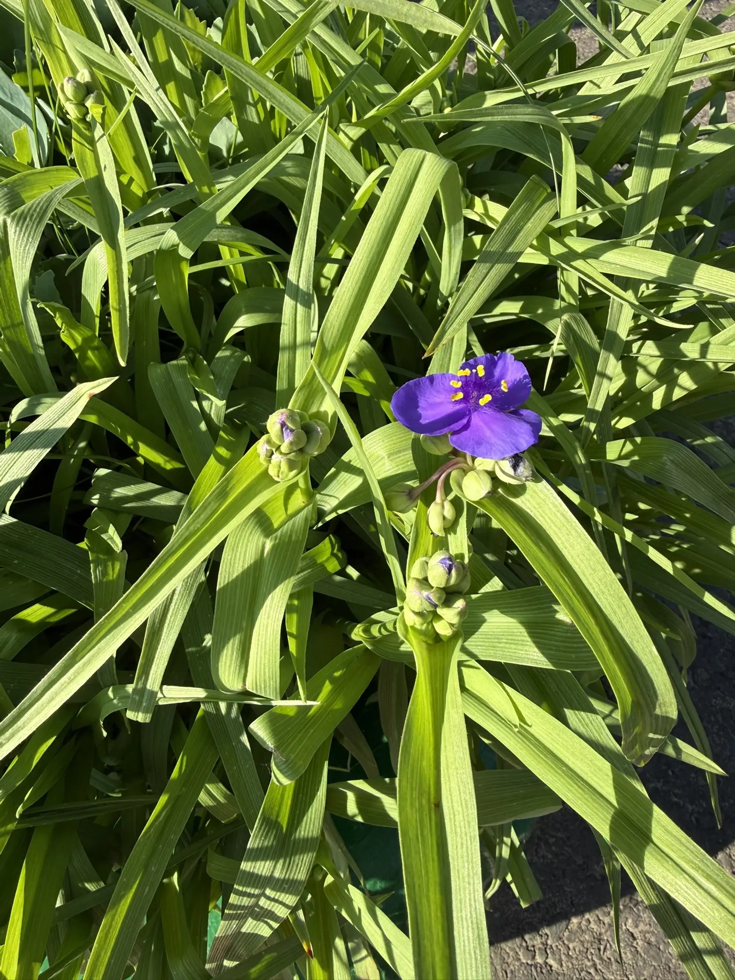 ☀️Доброе утро!